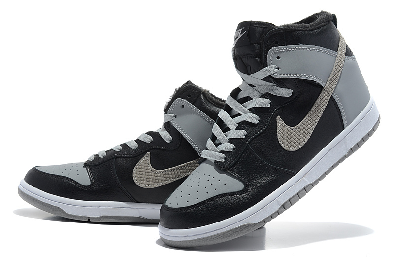 Chaussure Nike Dunk High Homme Pas Cher